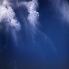 Clouds Over the Gulf of California, Mexico Satellite Image  by Jim Plaxco
