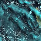 Dirk Hartog Island Australia Satellite Image by Jim Plaxco
