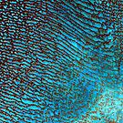 False Color Desert Sand Dunes in Saudi Arabia Satellite Image by Jim Plaxco