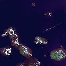 Galapagos Islands Ecuador Satellite Image by Jim Plaxco