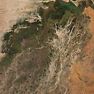 Niger River Inland Delta Mali Africa Satellite Image by Jim Plaxco