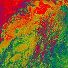 Niger River Inland Delta Mali False Color Satellite Image by Jim Plaxco