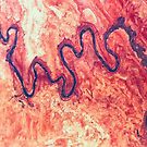 San Juan River Tributary Utah Aerial Landscape by Jim Plaxco