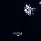 Tortuga Island Venezuela Satellite Image by Jim Plaxco