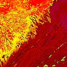 Volga River Delta Russia False Color Satellite Image by Jim Plaxco