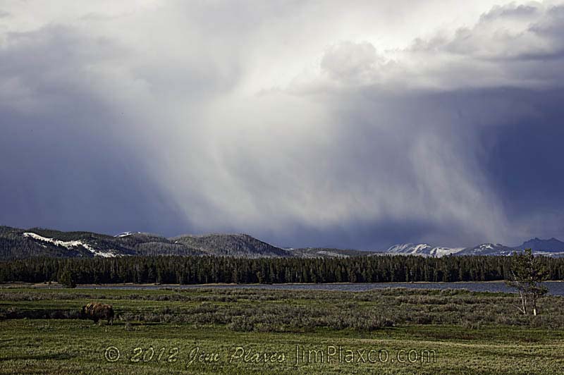 Summer Storm, Yellowstone National Park