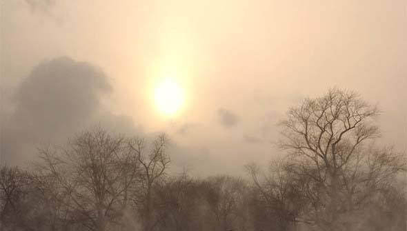 Winter Fantasy Landscape Photograph