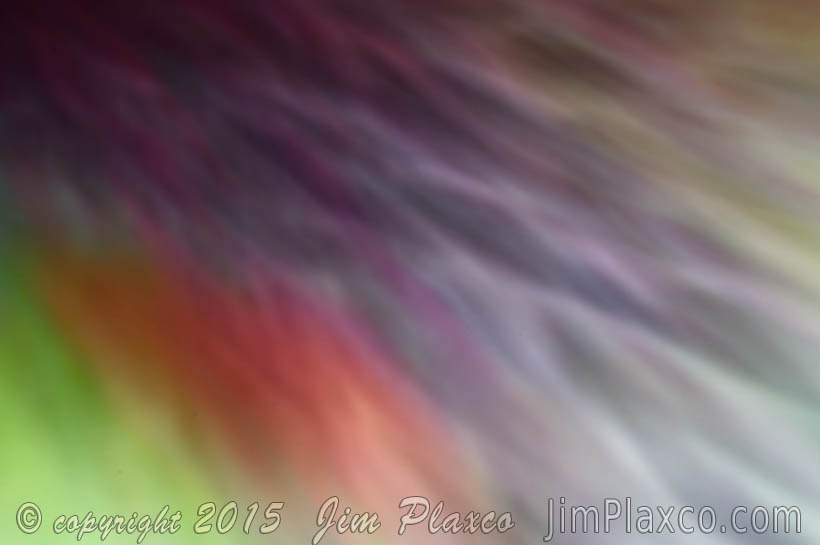Color Cascade Abstract