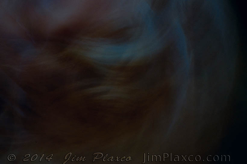 Portrait of Ann digital photograph